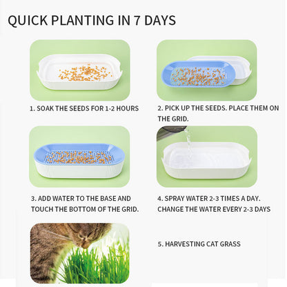 Hydroponic Cat Grass Box - Cat Grass Growing Kit with Self-Watering Planter - Soilless Sprouter Tray for Cats and Pets