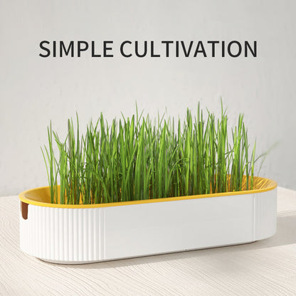 Hydroponic Cat Grass Box - Cat Grass Growing Kit with Self-Watering Planter - Soilless Sprouter Tray for Cats and Pets