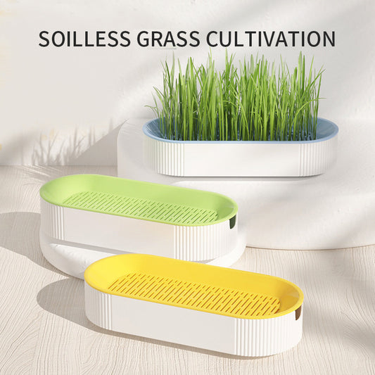 Hydroponic Cat Grass Box - Cat Grass Growing Kit with Self-Watering Planter - Soilless Sprouter Tray for Cats and Pets